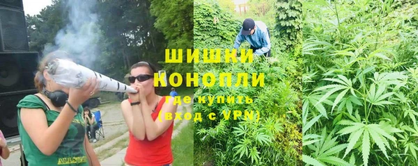 бошки Алзамай