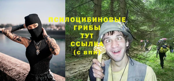 бошки Алзамай