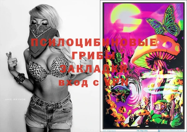 бошки Алзамай