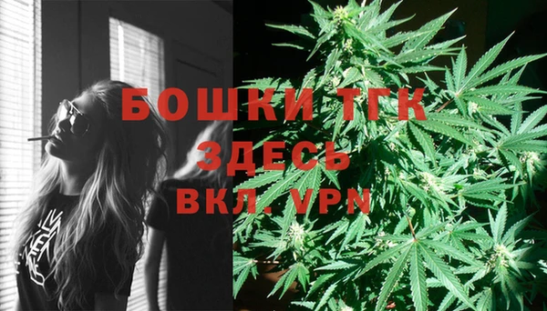 мдпв Россошь