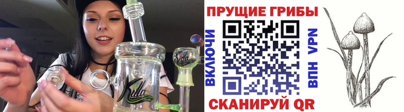 Псилоцибиновые грибы Psilocybe  Петров Вал 