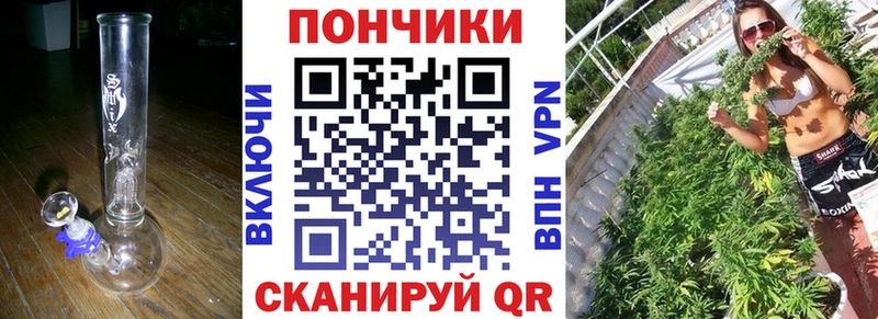 Конопля OG Kush  сколько стоит  Петров Вал 